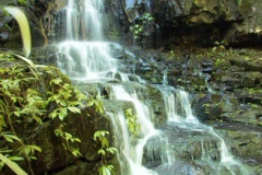 Serenity