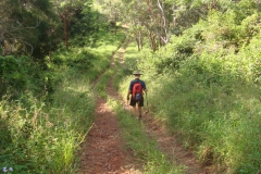 2.-Amamoor-State-Forest-4-April-2010-64