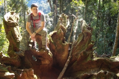 Box-Forest-Cct-16-Aug.-2009-13