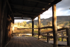2011 Photo competition Winners