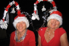 Bobbsie-Twins-Character-Runner-up-Hilary-Martyn-