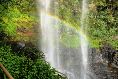 Somewhere-under-the-rainbow-Spiritual-Memb-Choice-winner-John-Kolcze