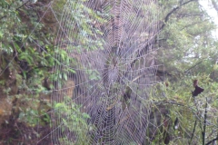 The-mighty-web-Strength-Members-Choice-Rob-Santry