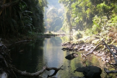2012 Photo Competition Winners
