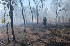 02-After-the-Fire-Runner-up-Mike-Vose