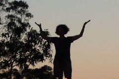 Sunset-Silhouette