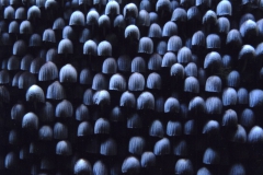 Fairy-Bonnets