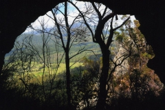 Looking-Out-the-Window
