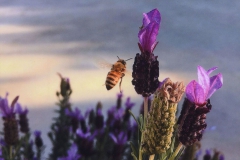 2021 Photo Competition Winners