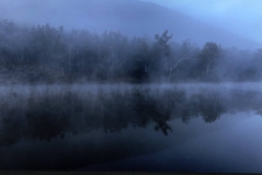 Landscape_RunnerUp_Selvin__